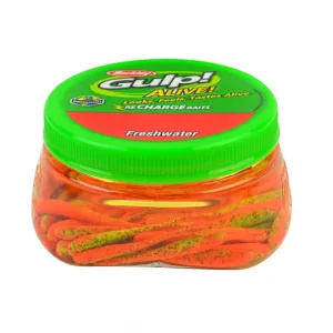 Gulp! Alive! Minnow | 3in | 8cm | Model #GAPMI3-FT